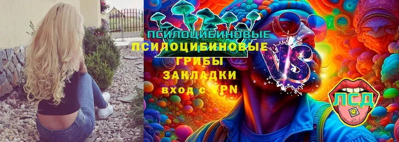 Псилоцибиновые грибы Magic Shrooms  наркошоп  Кимры 